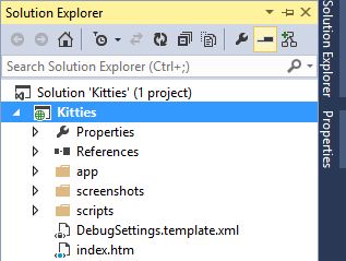 Solution Explorer of Chrome Extension